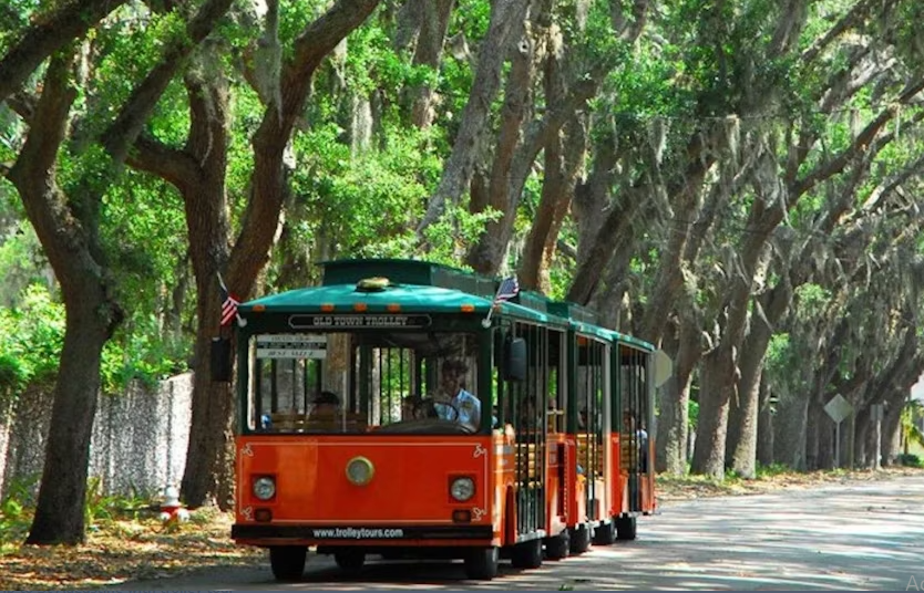 Day trip to St Augustine with trolley tour - Image 5
